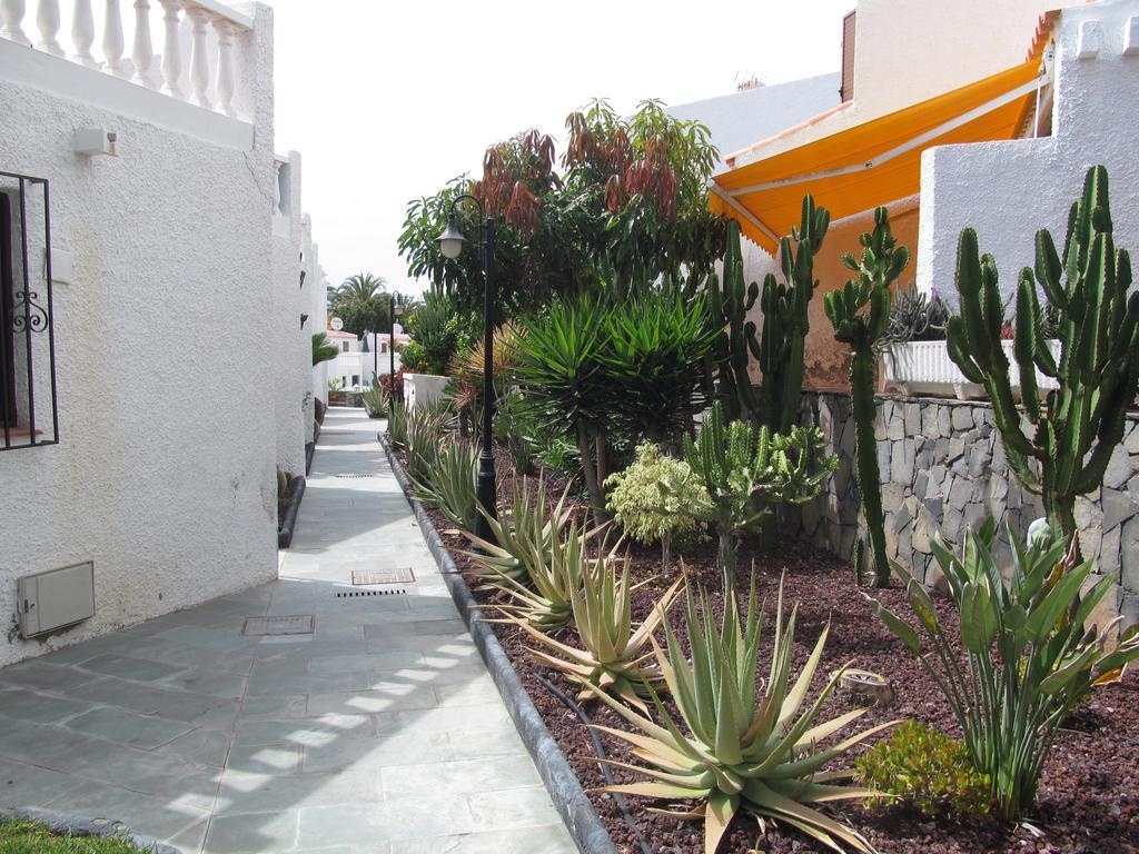 Apartment Virginia Playa de las Americas  Rom bilde